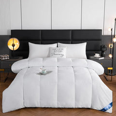 Hotel Style Comforter Queen King Lightweight Fluffy Comfortable and Breathable Soft Winter Quilt Very Warm 220x240 Quilts Blanke