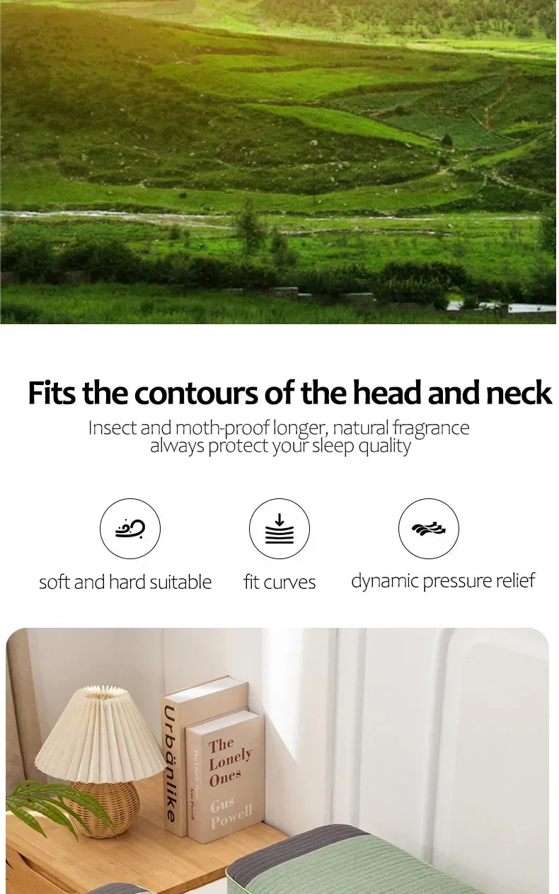 Sobakawa Traditional Buckwheat Standard Size Pillow Organic Cotton with Natural Technology for Cool Sleep Bed Sleep Pillow